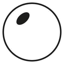 Standard / Light-Responsive Lenses